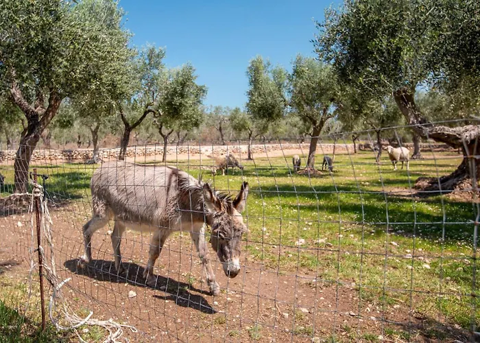 Tra Mari E Monti Casa vacanze